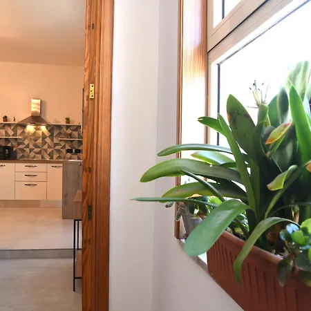 Nereidi Appartement *